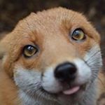 Profile Picture of Wendi Duncan (@wendyduncan287) on Instagram