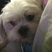 Profile Picture of Leah Heimowitz (@leah.heimowitz.1) on Facebook