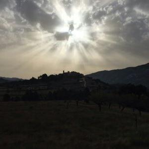 Profile Picture of Paula Castaño (@paulacastano20) on Twitter