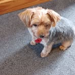 Profile Picture of Geoffrey Trigg (@gtrigg1) on Facebook