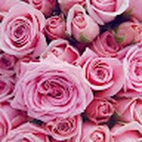 Profile Picture of Myriam Martin (@myriam-martin-10) on Quora