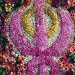Gurdev Sandhu - Instagram Profile Picture of Gurdev Sandhu (@gurdev.sandhu.5648) on Instagram