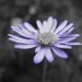 Profile Picture of Allison Conroy (@aconroy0034) on Pinterest