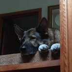 Profile Picture of Joanne Aglialoro Johannemann (@Joanne-Aglialoro-Johannemann) on Facebook