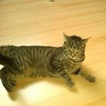 Profile Picture of Jason Ponto (@pontojason) on Instagram