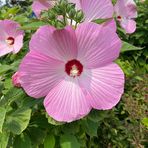 Profile Picture of Marc Rubman (@marc.rubman.1) on Facebook