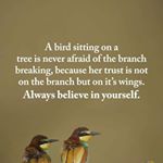 Profile Picture of Pauline Reilly (@pauline.sedore) on Instagram