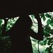 Profile Picture of Madelyn Merle (@madelynmerle1524) on Pinterest