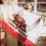 Profile Picture of Amanda Scheer (@amandakhannegan) on Instagram