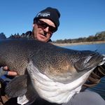 Profile Picture of Terry Phillips (@pestmm) on Instagram