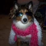 Profile Picture of Kevin Goodwin (@kevin.goodwin.507) on Instagram