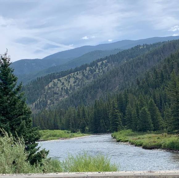 Profile Picture of Jeff Sherman (@autiger91) on Poshmark