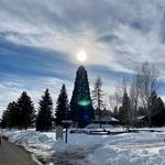 Profile Picture of Vicky Chandler (@granny_vicky) on Instagram