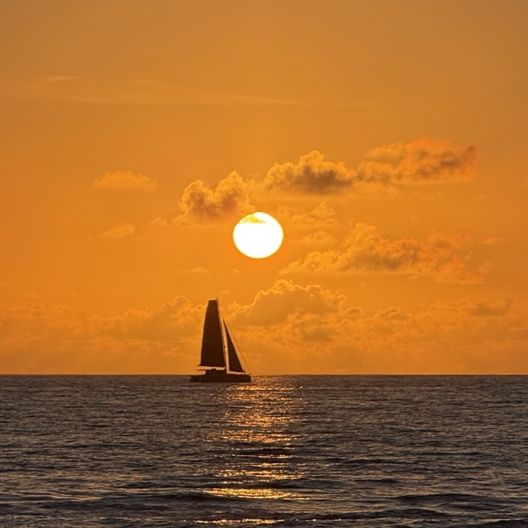 Profile Picture of Adeena Neeman (@nazmiriam1) on Poshmark