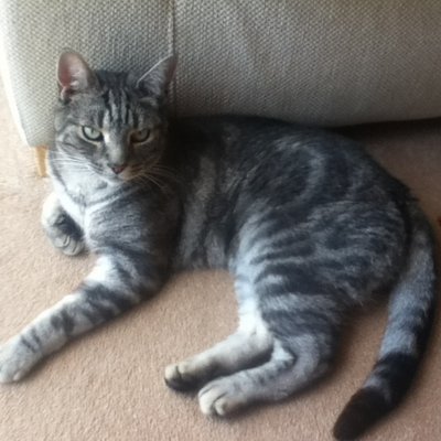 Profile Picture of Ginny Thompson (@Ginnythompson12) on Twitter