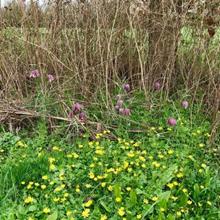 Profile Picture of Joseph Chevrier (@joseph.chevrier.7) on Facebook