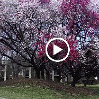 Profile Picture of Bruce Baum (@bruce-baum-7) on Quora