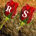 Profile Picture of Subba Reddy Baddigam (@subbareddy.baddigam.1) on Facebook