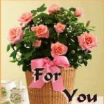 Profile Picture of Solly james (@ayumics1780) on Instagram