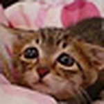 Profile Picture of John Fischer (@jfischer133) on Flickr