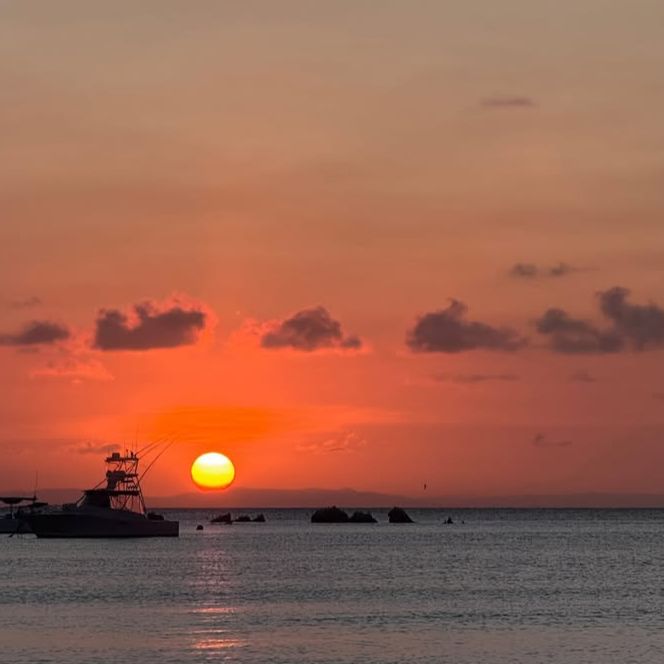 Profile Picture of Laura Wojciechowska (@laura.wojciechows1) on Tiktok