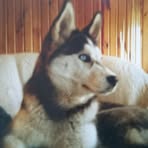 Karin Walther - Facebook Profile Picture of Karin Walther (@Karin-Walther) on Facebook