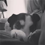 Profile Picture of Nancy Boulos (@nance_73) on Instagram