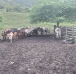 Profile Picture of Alex Gal (@alex.gal.885466) on Facebook