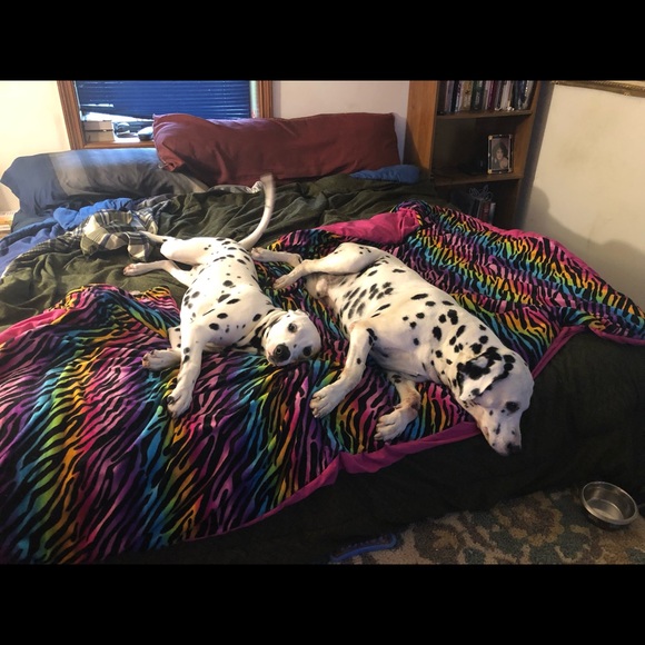 Profile Picture of Tyler Mckinsey (@tmckinsey10) on Poshmark