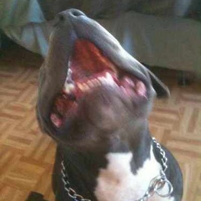 Mike Tuley - Twitter Profile Picture of Mike Tuley (@tuley18) on Twitter