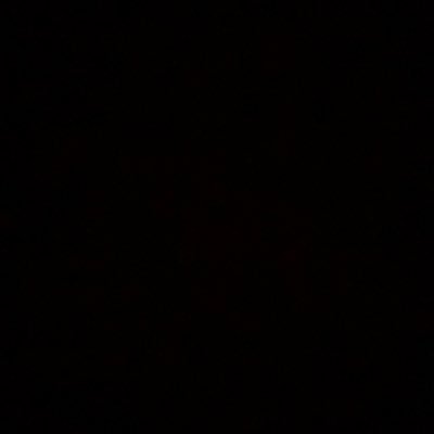 Profile Picture of Mads (@hoyt_madison) on Twitter