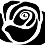 Profile Picture of Jo Young (@joyoung8986) on Youtube