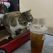 Profile Picture of My Nguyen (@MyNguyen-bk6ry) on Youtube