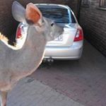 Profile Picture of John Grobler (@john.grobler.35) on Instagram