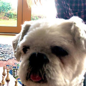 Profile Picture of Jacob Tyson (@jacobtyson5546) on Youtube