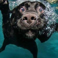 Profile Picture of James Baginski (@james-baginski-1) on Quora