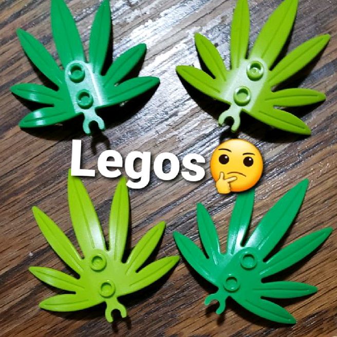 Profile Picture of Chad Carman (@chadcarman2) on Tiktok