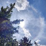 Profile Picture of Brian Pirner (@brianpirner) on Instagram