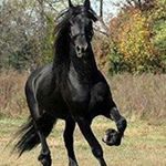 Profile Picture of Amelia Hunt (@ameliahunt8702) on Instagram