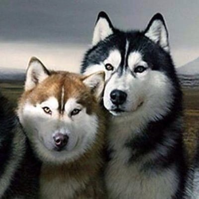 Profile Picture of Scott Welbaum (@scott_welbaum) on Twitter