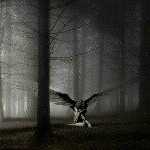 Profile Picture of 1 follower (@reneboymanuel) on Instagram