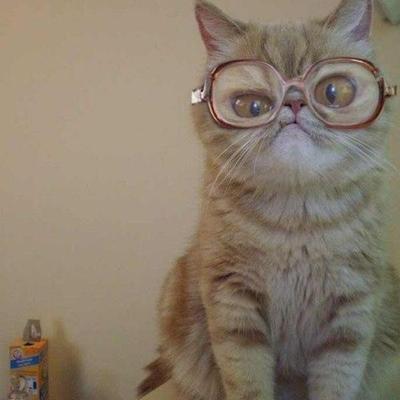 Profile Picture of Jeff Rust (@jeffrust) on Twitter