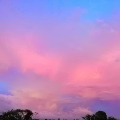 Profile Picture of Alexis Klein (@SavannahDoggo) on Twitter