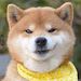 Profile Picture of Văn Hưỡng Nguyễn (@lumyeudang235) on Pinterest