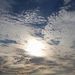 Profile Picture of Robin Priest (@priest0108) on Pinterest