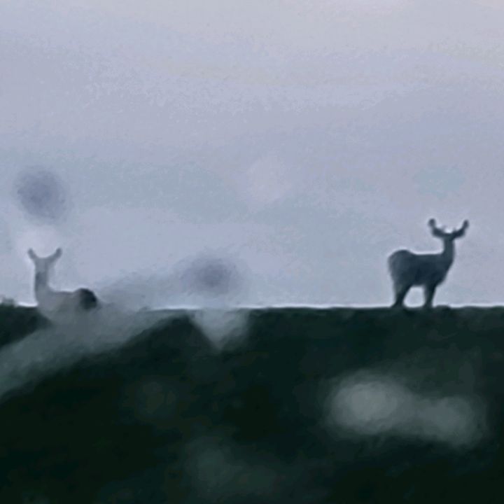 Profile Picture of Justin Dittberner (@justindittberner) on Tiktok