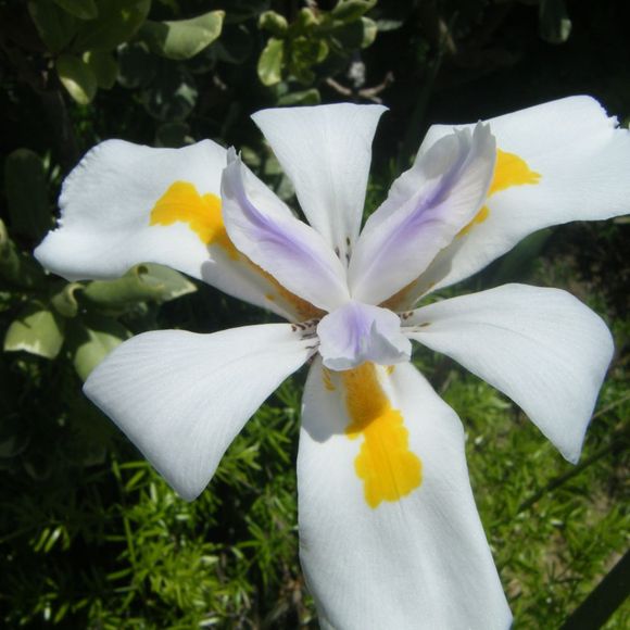 Profile Picture of Erin Joeckel (@sweetpeaz) on Poshmark