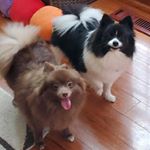 Profile Picture of Lisa Mouldon Gilbertsen (@lilgil214) on Instagram