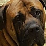 Gary Webster - Instagram Profile Picture of Gary Webster (@gary.webster.0320) on Instagram