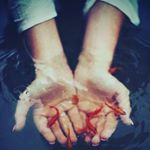Profile Picture of sode (@simshakim) on Instagram